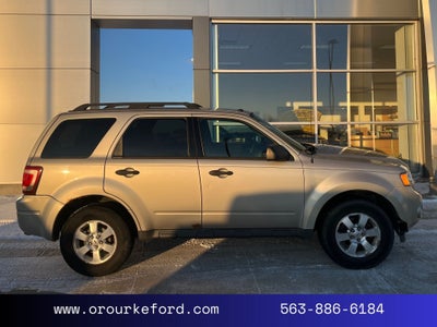 2011 Ford Escape XLT