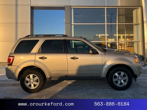 2011 Ford Escape XLT