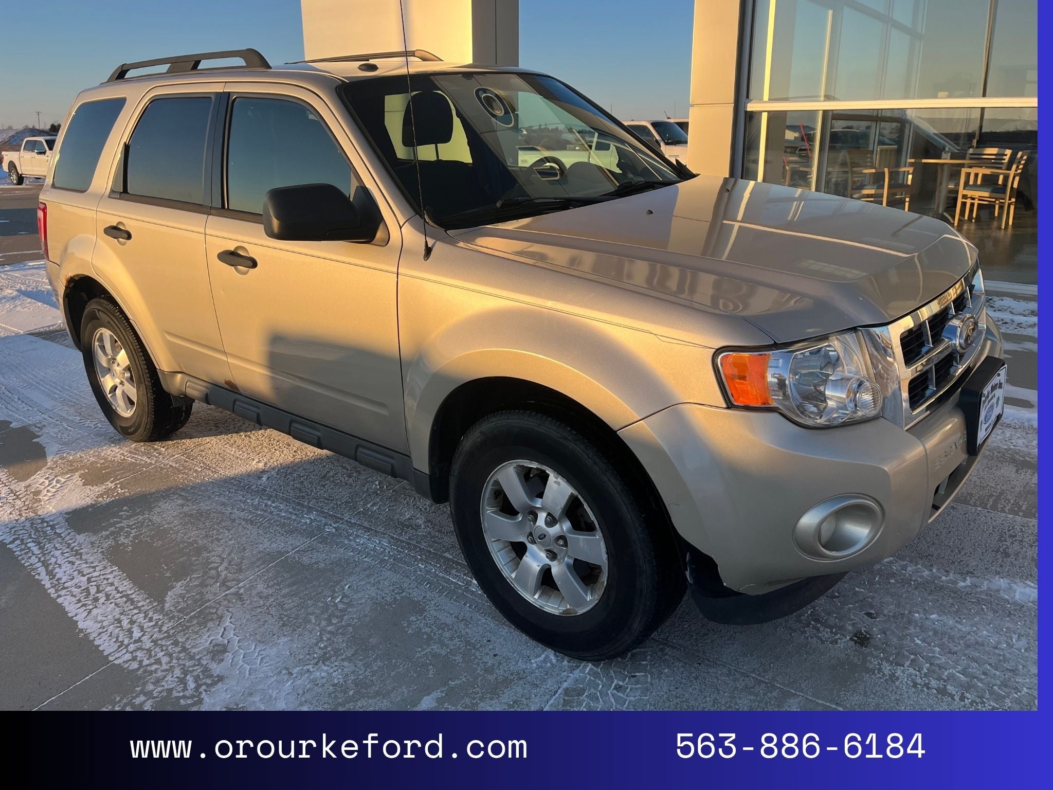 2011 Ford Escape XLT