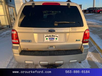 2011 Ford Escape XLT